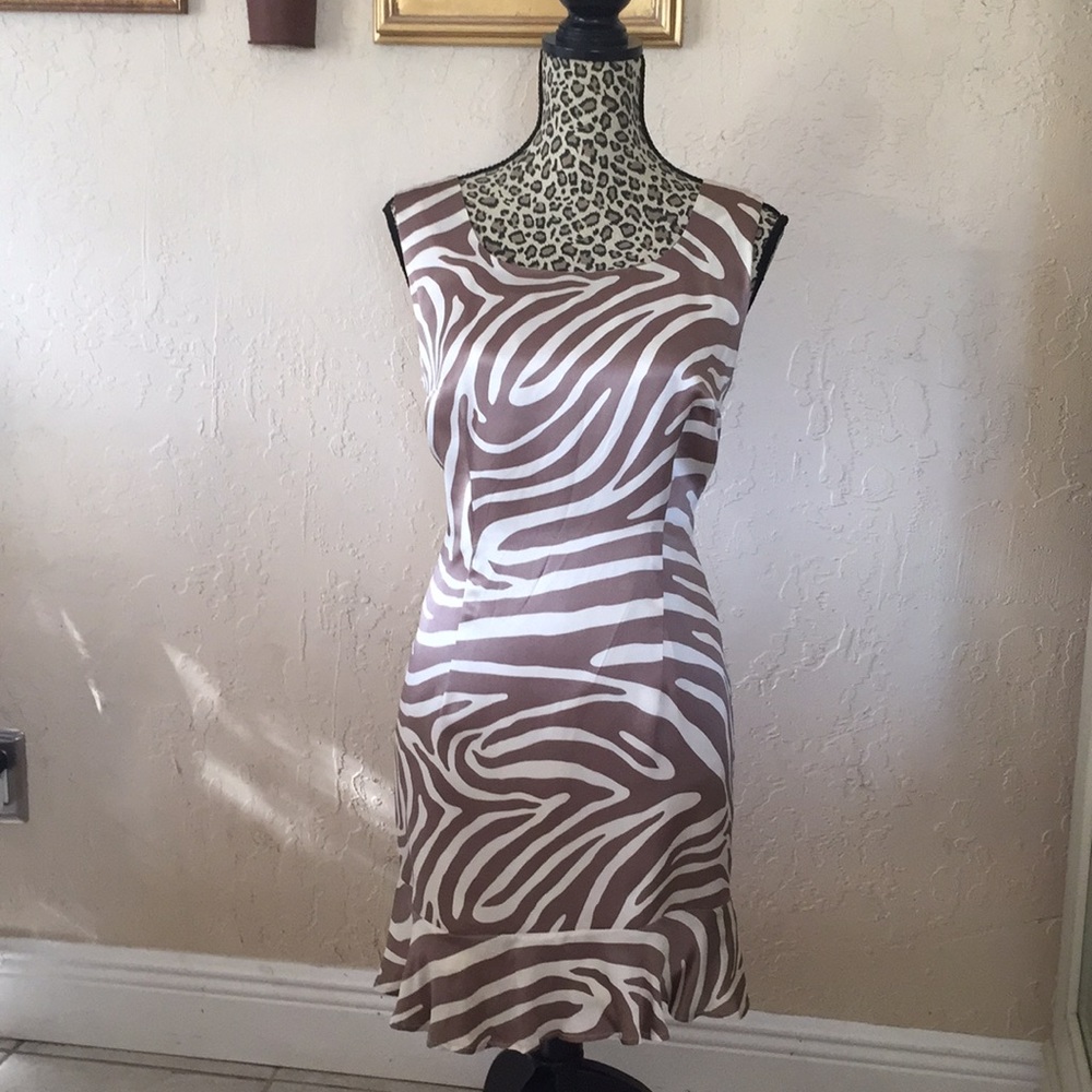 NWOT✨Beautiful Silk Dress ✨